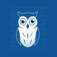 Search Marketing Wisdom owl logo, blue background